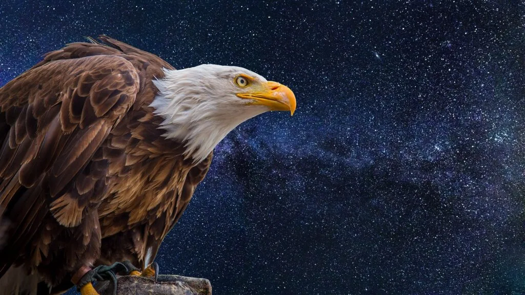 Spiritual meaning of the eagle