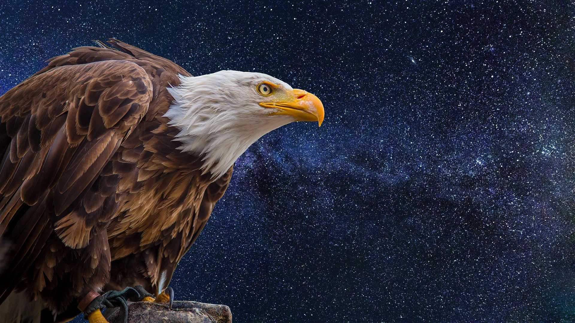 Spiritual Meaning Of The Eagle