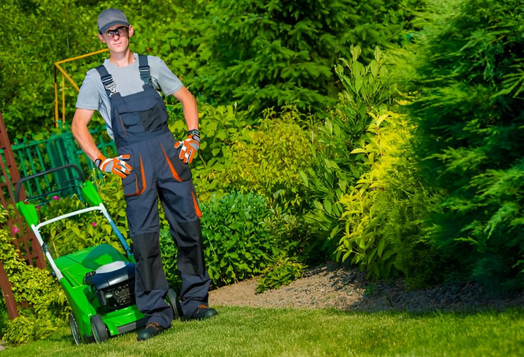 Expert Lawncare Services